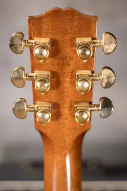 ACOUSTIC/ELECTRIC WITH HARDSHELL