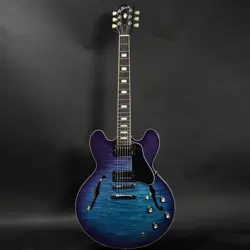 BLUEBERRY BURST SN