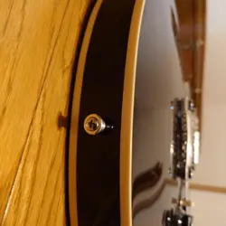 SEMI-HOLLOW GUITAR WITH