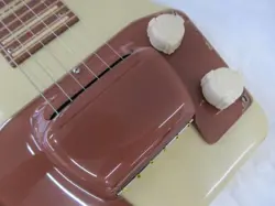 STEEL GUITAR WITH