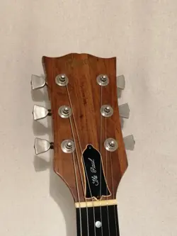 HUMBUCKER NEW