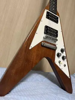 GIBSON FLYING V FLYINGV GIG CASE INCLUDED