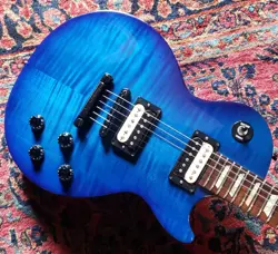 RARE ZEBRA 2006 GIBSON LES PAUL STUDIO PLUS, SKB 56 CASE