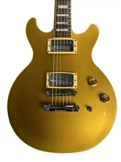 [GIBSON] 2009 LES