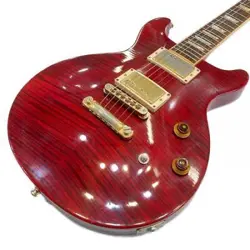 GIBSON ELECTRIC GUITAR LESPAUL STANDARD DC PLUS *ERQ368