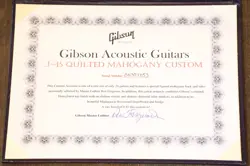 2007 GIBSON CS