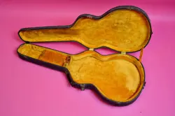 ES-335 LIFTON HARDSHELL