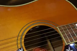 SUNBURST NEW ACOUSTIC