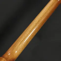 ROSEWOOD BURST NEW