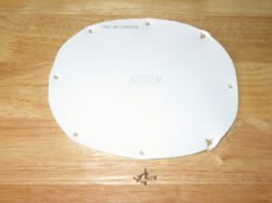 1964 WHITE BACK