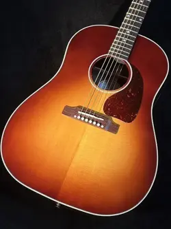 ROSEWOOD BURST~ 20744186