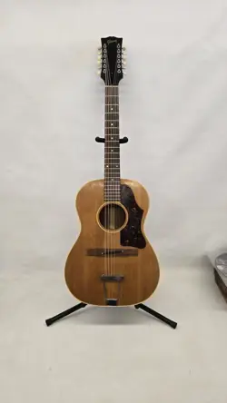 12 STRING ACOUTIC