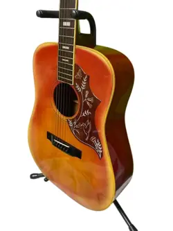 WH-25 HUMMINGBIRD ACOUSTIC