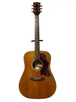ACOUSTIC GUITAR ADJUSTED