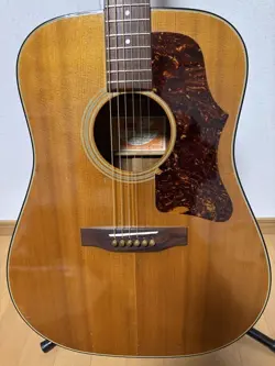 JAPAN VINTAGE ACOUSTIC