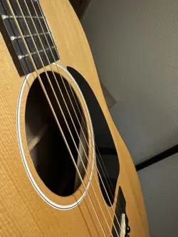 GIBSON G45