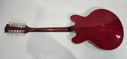 ELECTRIC SEMI-HOLLOW