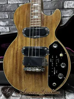 1973 USA