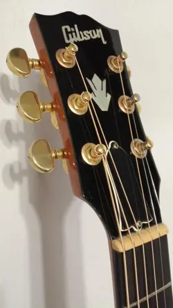 45 STANDARD ACOUSTIC