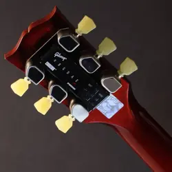 PAUL STANDARD W/G-FORCE