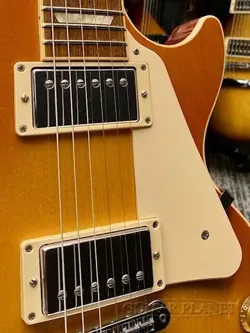 PROPRIETARY ELECTRIC