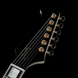 FIREBIRD CUSTOM GLOSS