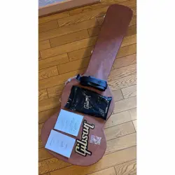 SG SPECIAL GUITAR