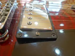 GENUINE PICKGUARD
