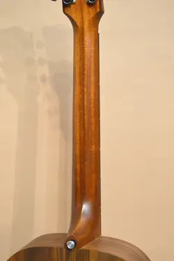 250323