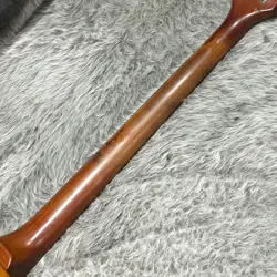 ELECTRIC GUITAR [AUTH]