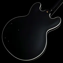 EBONY[2005 /4.36KG] ELECTRIC