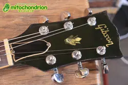 STANDARD BLACK ELECTRIC