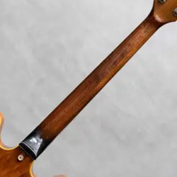 WALNUT 1973