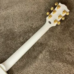 PAUL ALPINE WHITE