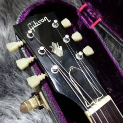 ES-335TD 1976 ELECTRIC
