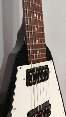 FLYING EBONY ELECTRIC