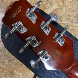 ARCHED TOP GUITAR