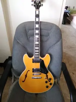 CUSTOM GUITAR SEMI-HOLLOW