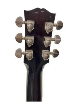 CASE SUNBURST