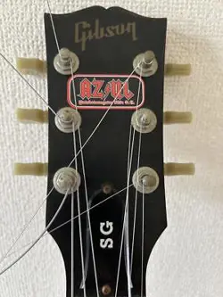 BROWN W/GIG BAG