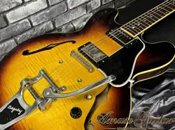 VINTAGE BURST 2010