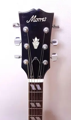 DUB MODEL