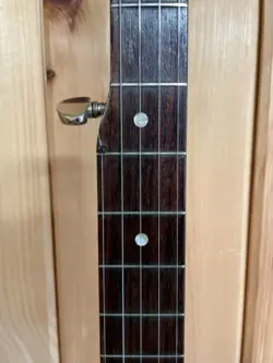 GIBSON RB-170