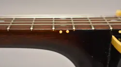 HOLLOWBODY ARCHTOP ELECTRIC