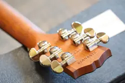 ROSEWOOD ACOUSTIC/