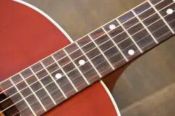 ROSEWOOD ACOUSTIC/ ELECTRIC