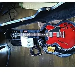 ES-335 CUSTOM