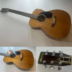 JAPAN DOMESTIC ACOUSTIC