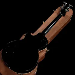 PAUL STANDARD SPARKLE