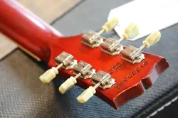 SUNBURST FLAMETOP